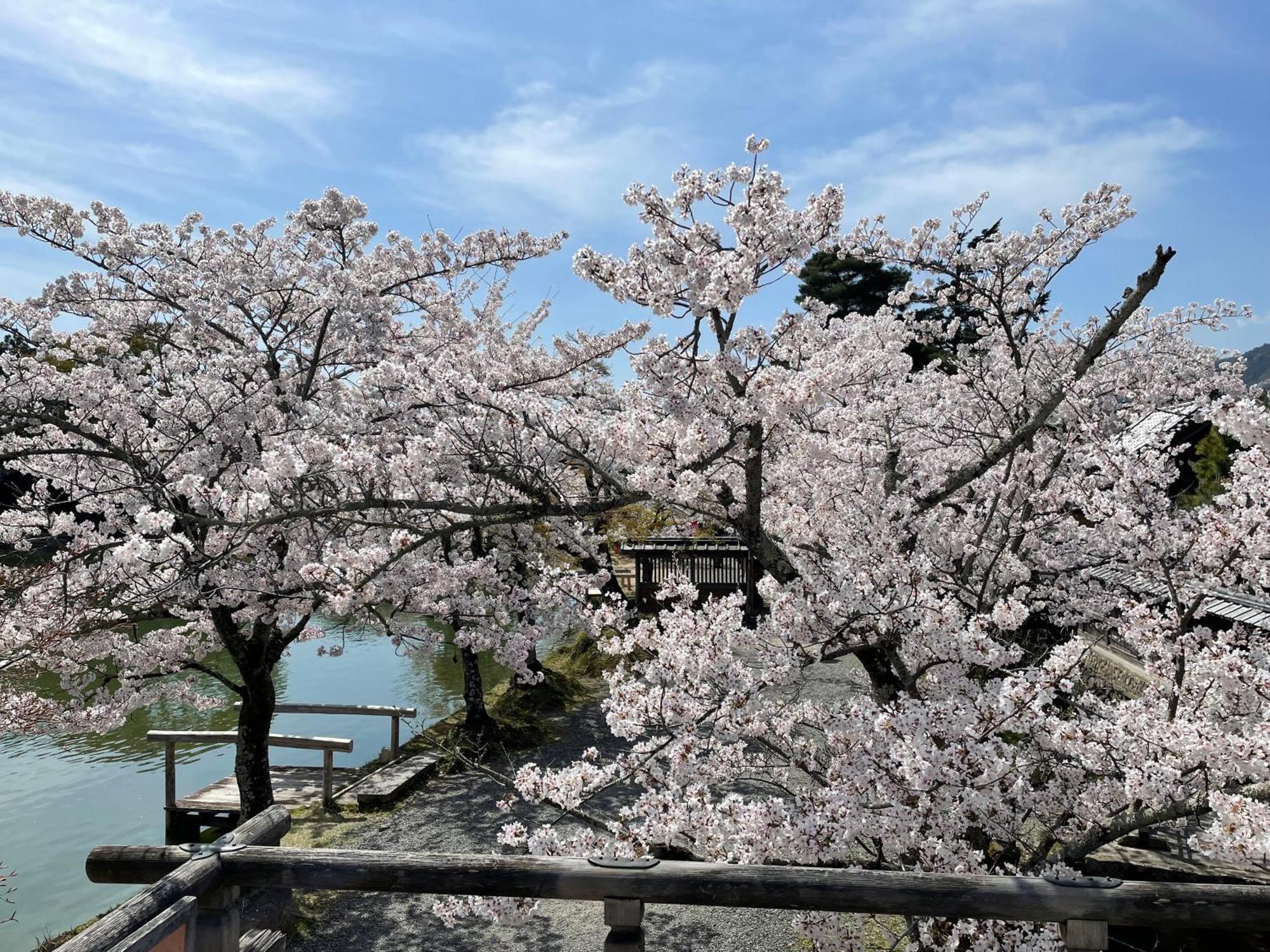 Hotel Amanek Kyoto Kawaramachi Gojo Exteriér fotografie